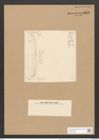 Nitzschia weissflogii var. subglabra Grun. (de-Toni-Nr.: Genus 47, Species 2061) Zeichnungen Sammlung Grunow Nr. 4076 (NHMW-BOT-W0371918)
